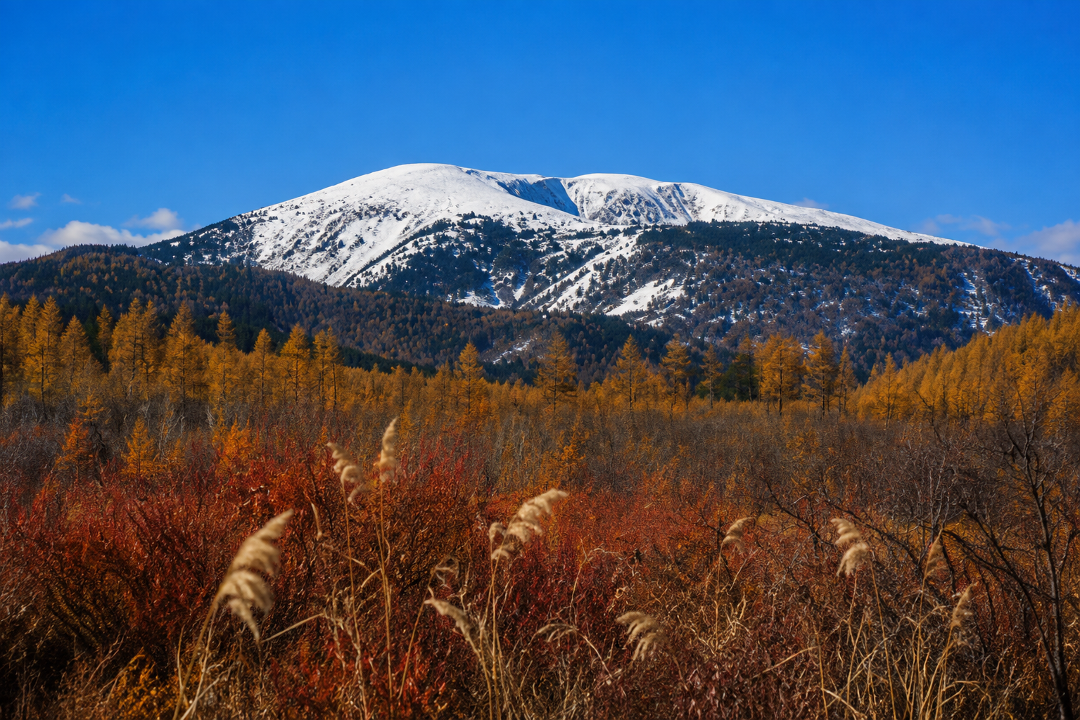 Burkhan Khaldun above an autumn forest, with snow-covered ridges under a clear blue sky.