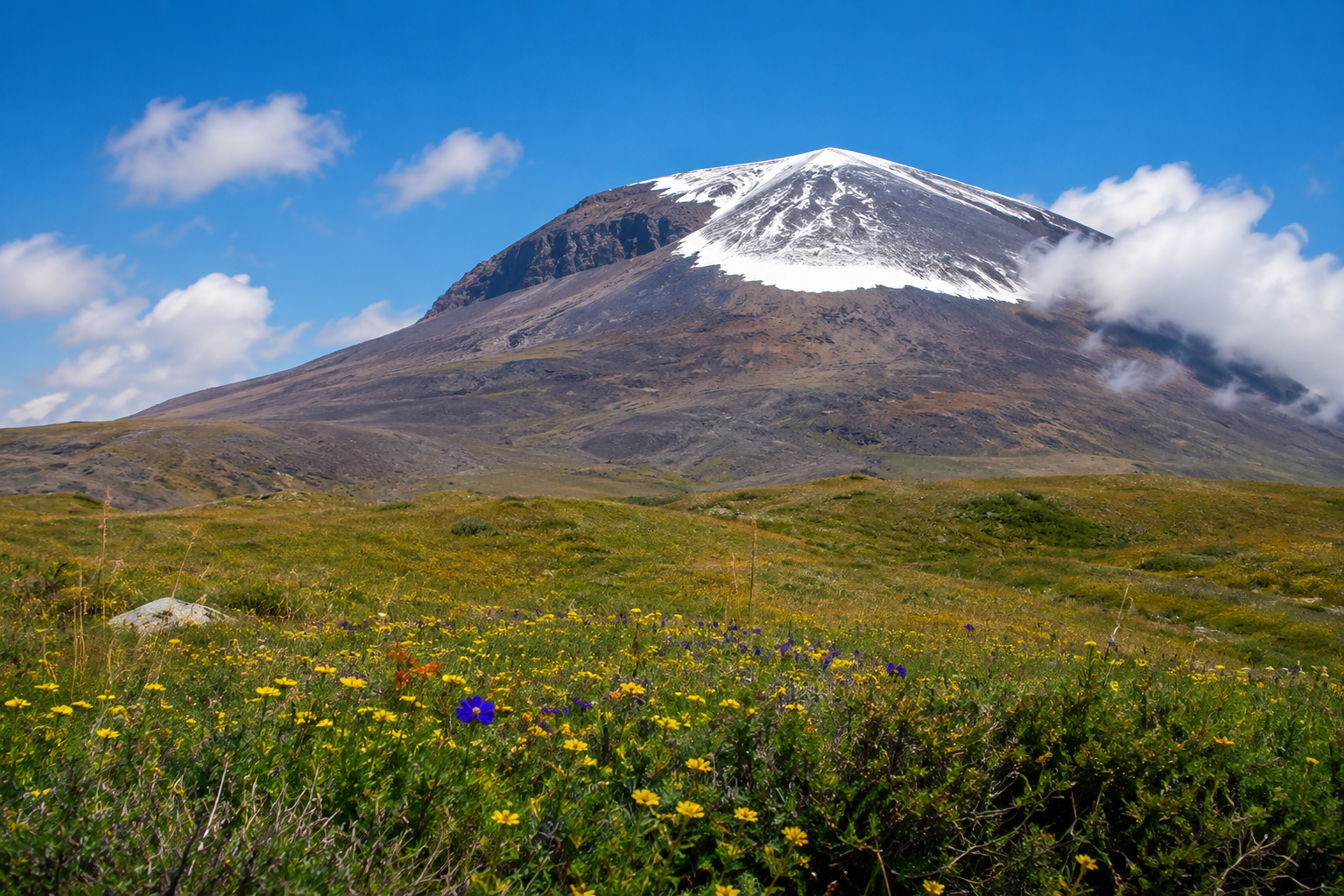 Otgontenger mountain above an alpine meadow with wildflowers.