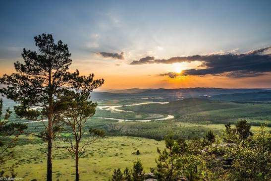 Pine trees overlooking a winding river valley at sunset at Saikhany Khutul.